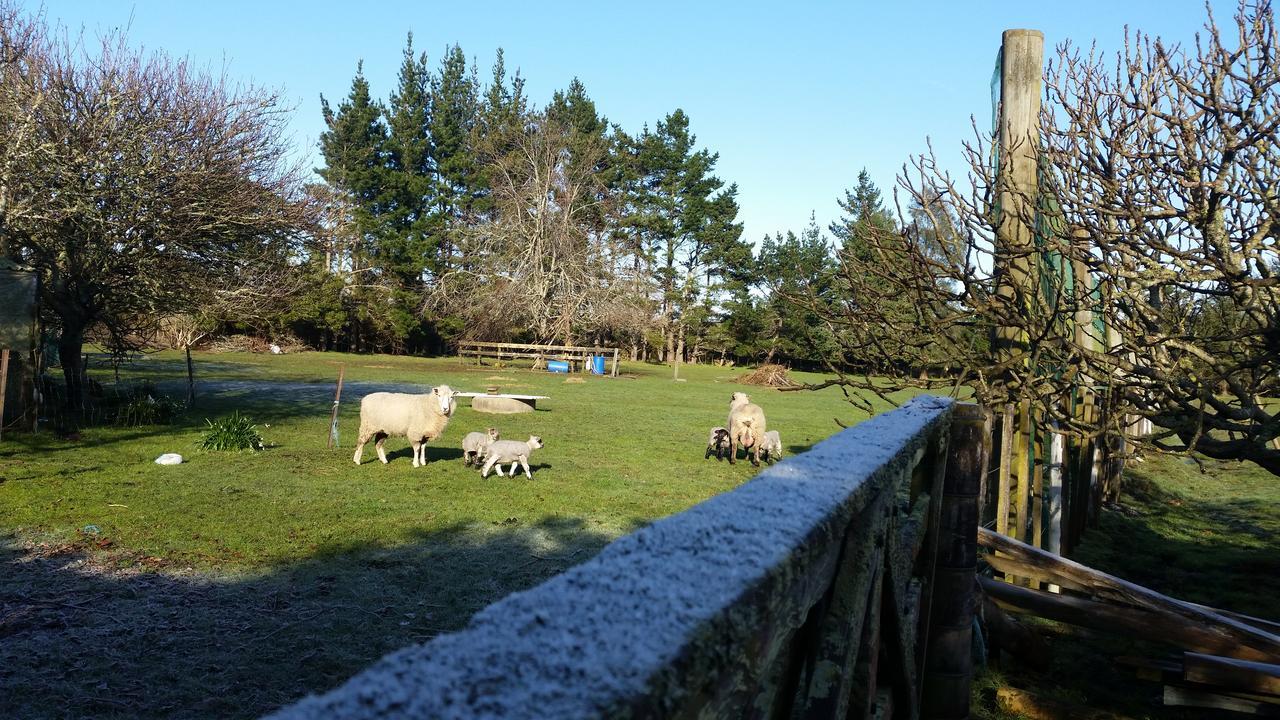 Woodbury Farm B&B Takanini Exterior photo