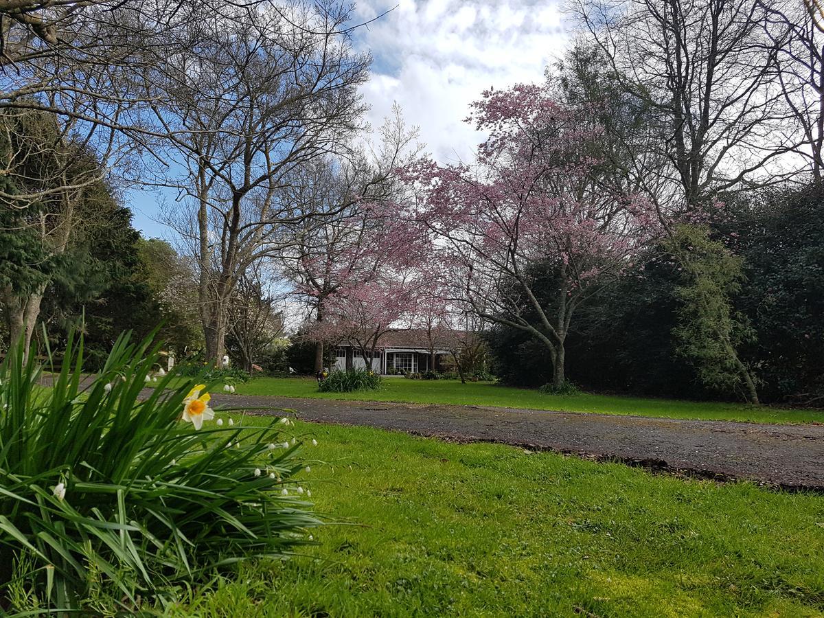 Woodbury Farm B&B Takanini Exterior photo